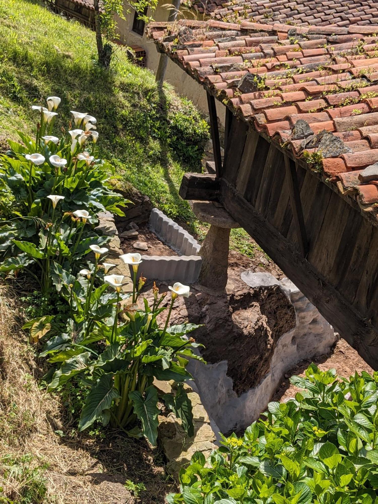 Las Casas De Isu Villaviciosa  Εξωτερικό φωτογραφία